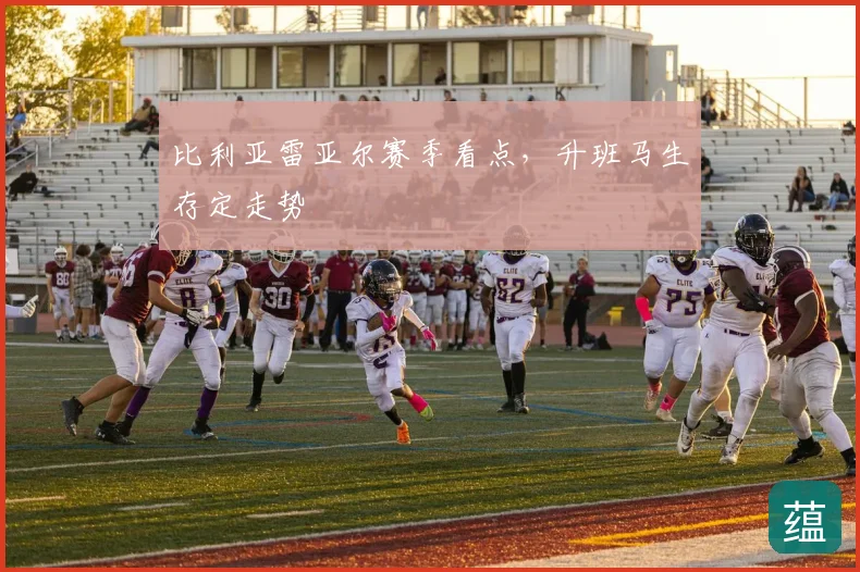 比利亚雷亚尔赛季看点，升班马生存定走势
